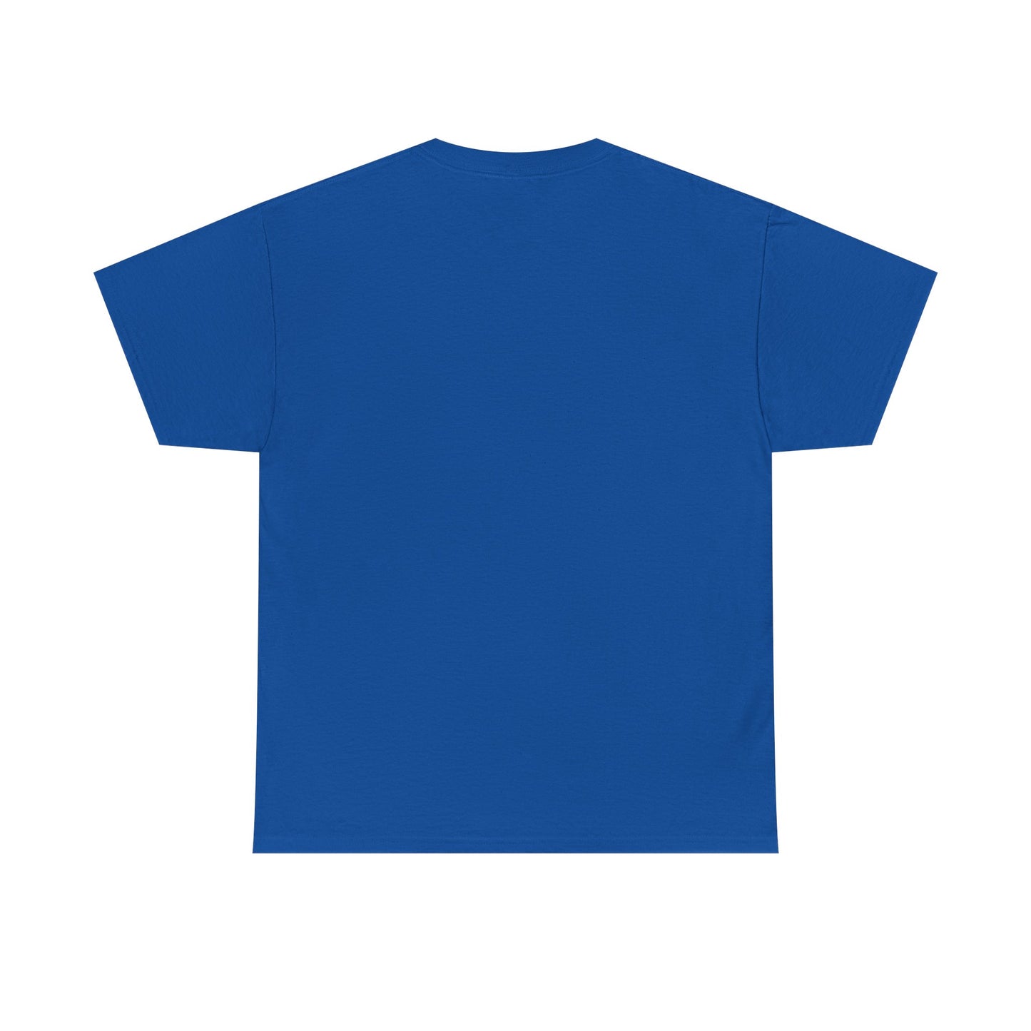 Please Transition Downstairs 2023 Unisex Heavy Cotton Tee