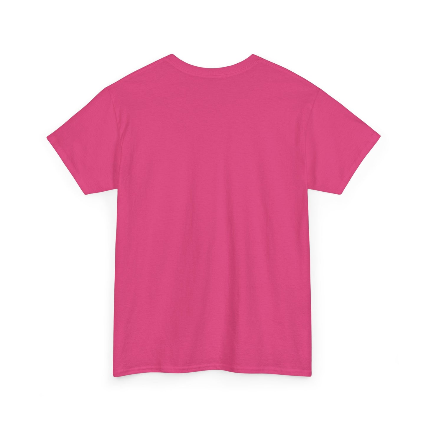 Please Transition Downstairs 2023 Unisex Heavy Cotton Tee
