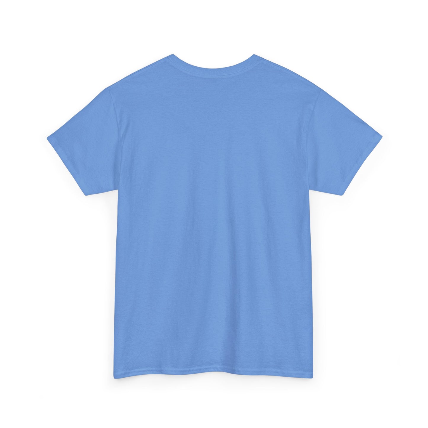 Please Transition Downstairs 2023 Unisex Heavy Cotton Tee