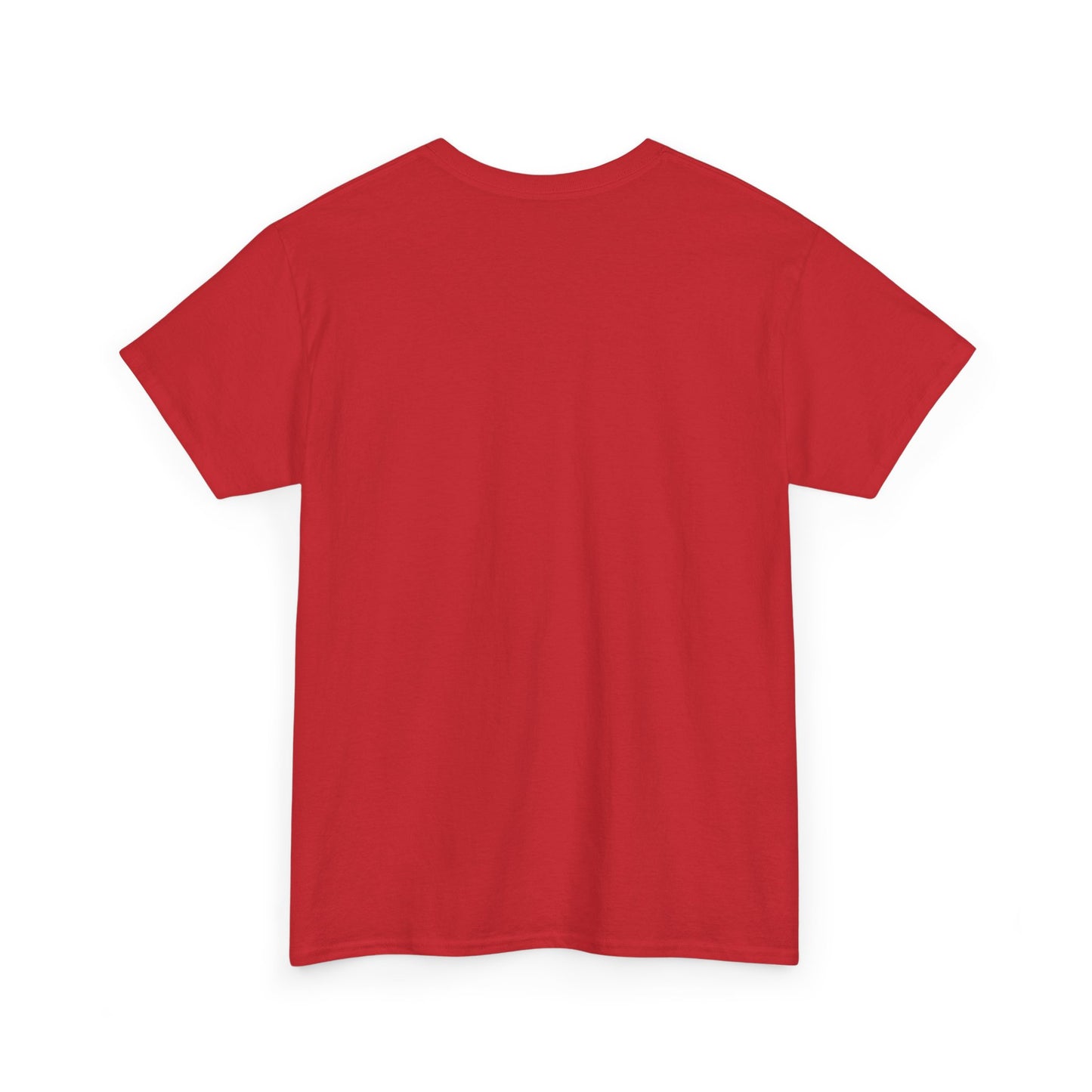 Please Transition Downstairs 2023 Unisex Heavy Cotton Tee