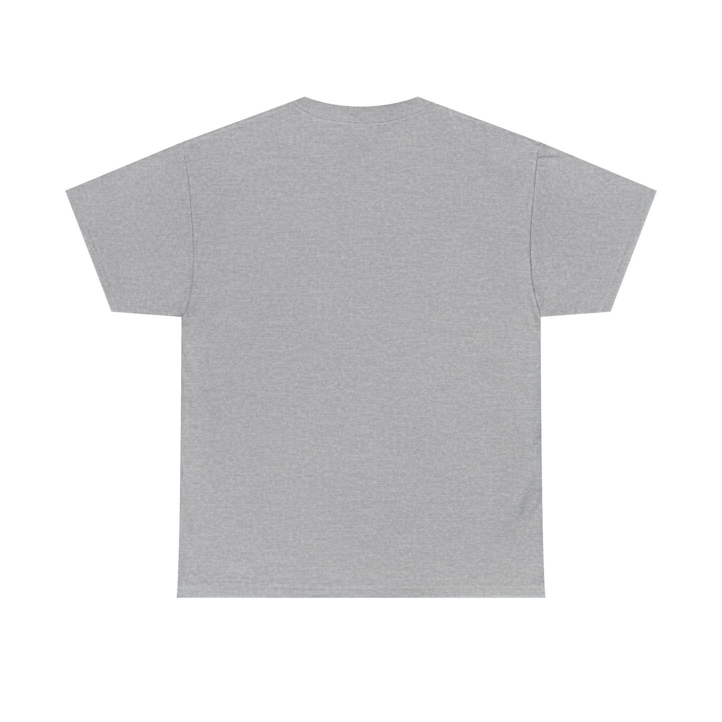 Please Transition Downstairs 2023 Unisex Heavy Cotton Tee