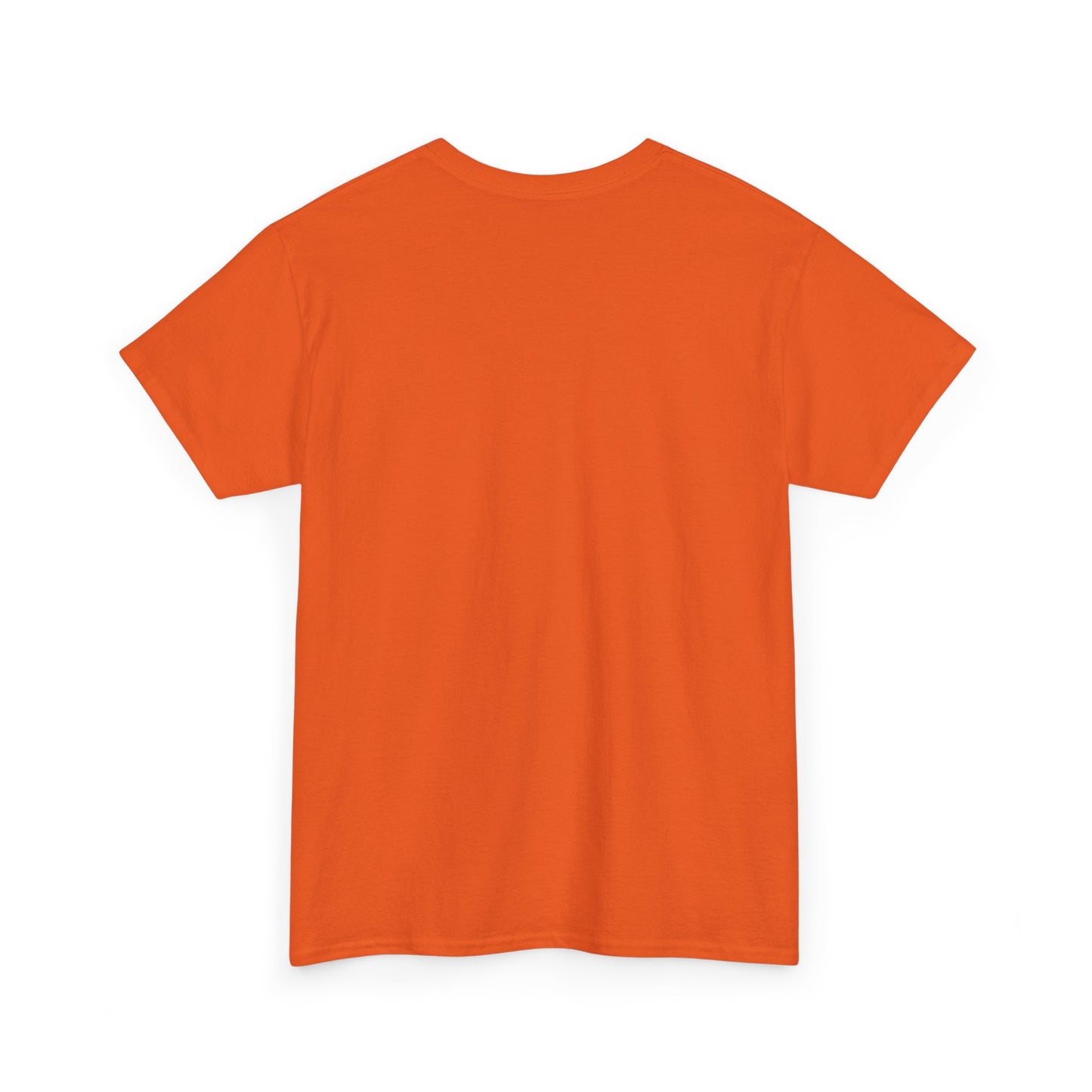 Please Transition Downstairs 2023 Unisex Heavy Cotton Tee