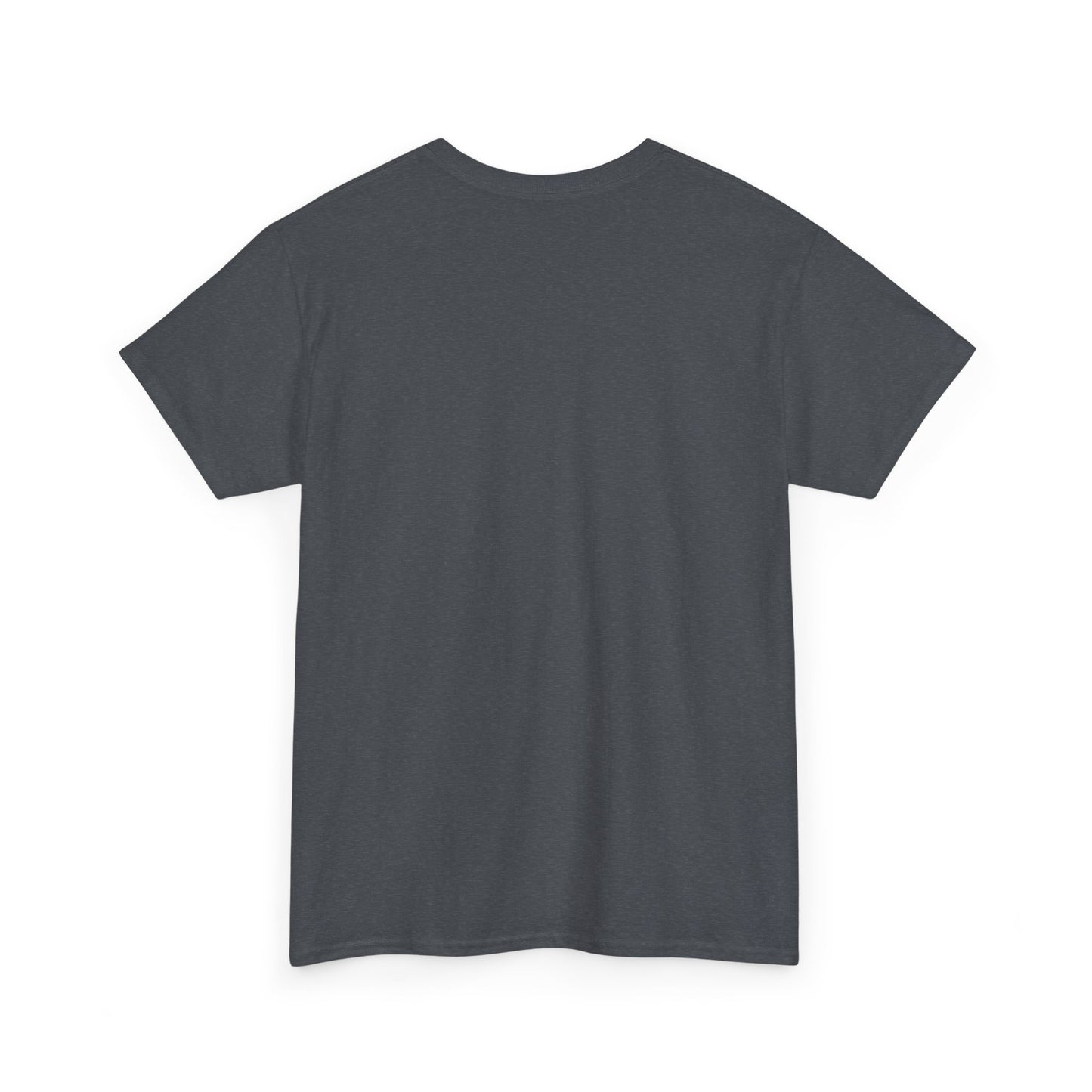 Please Transition Downstairs 2023 Unisex Heavy Cotton Tee