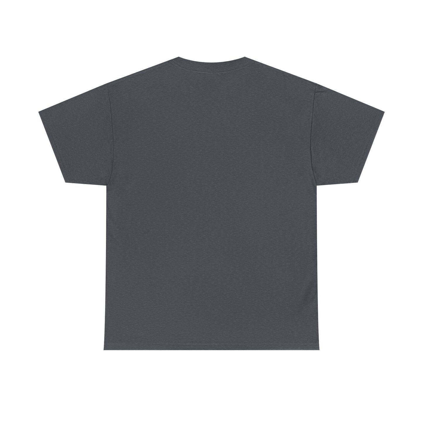 Please Transition Downstairs 2023 Unisex Heavy Cotton Tee