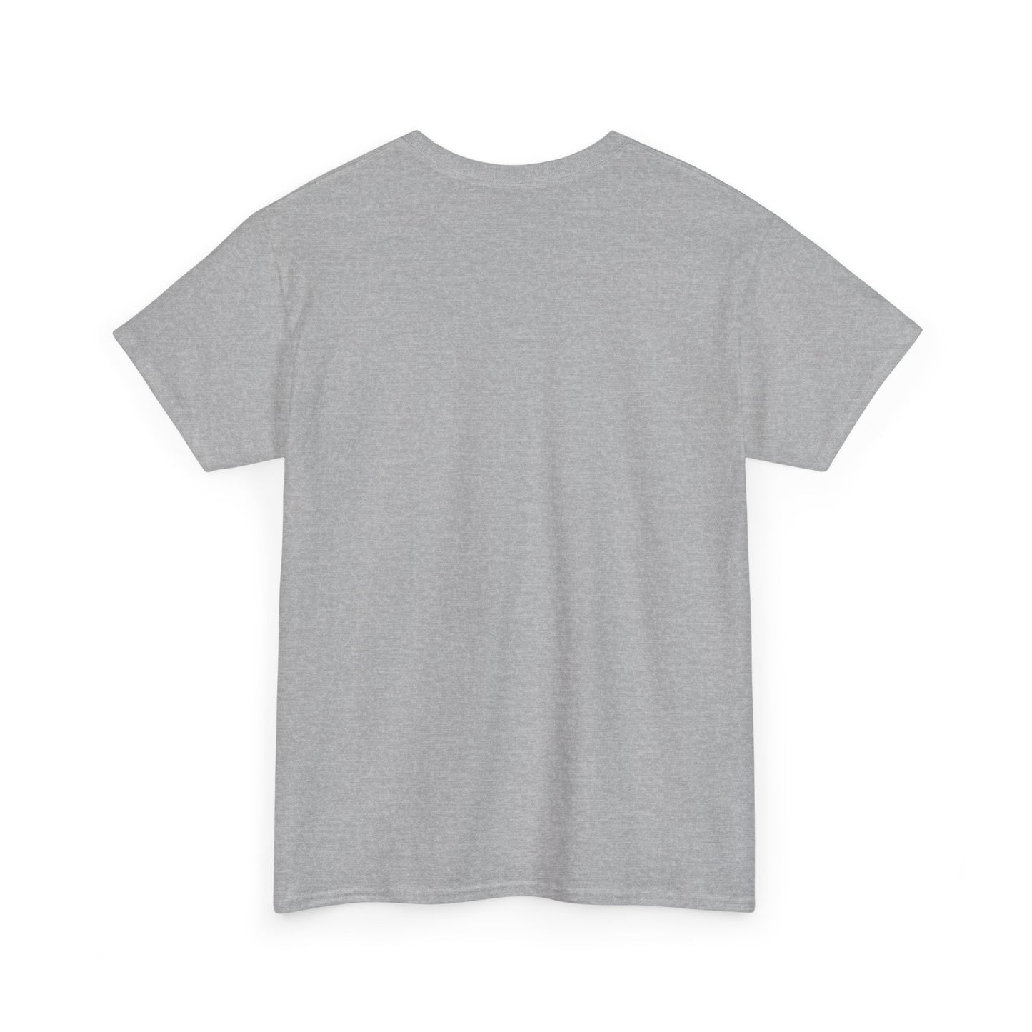 Please Transition Downstairs 2023 Unisex Heavy Cotton Tee