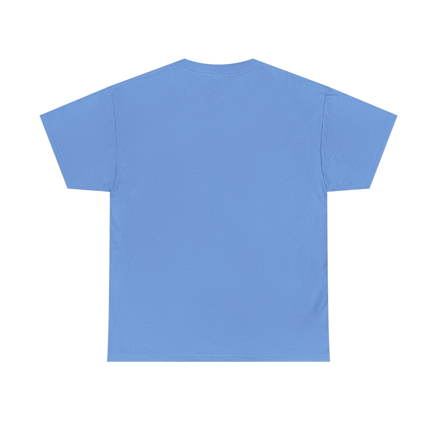 Please Transition Downstairs 2023 Unisex Heavy Cotton Tee