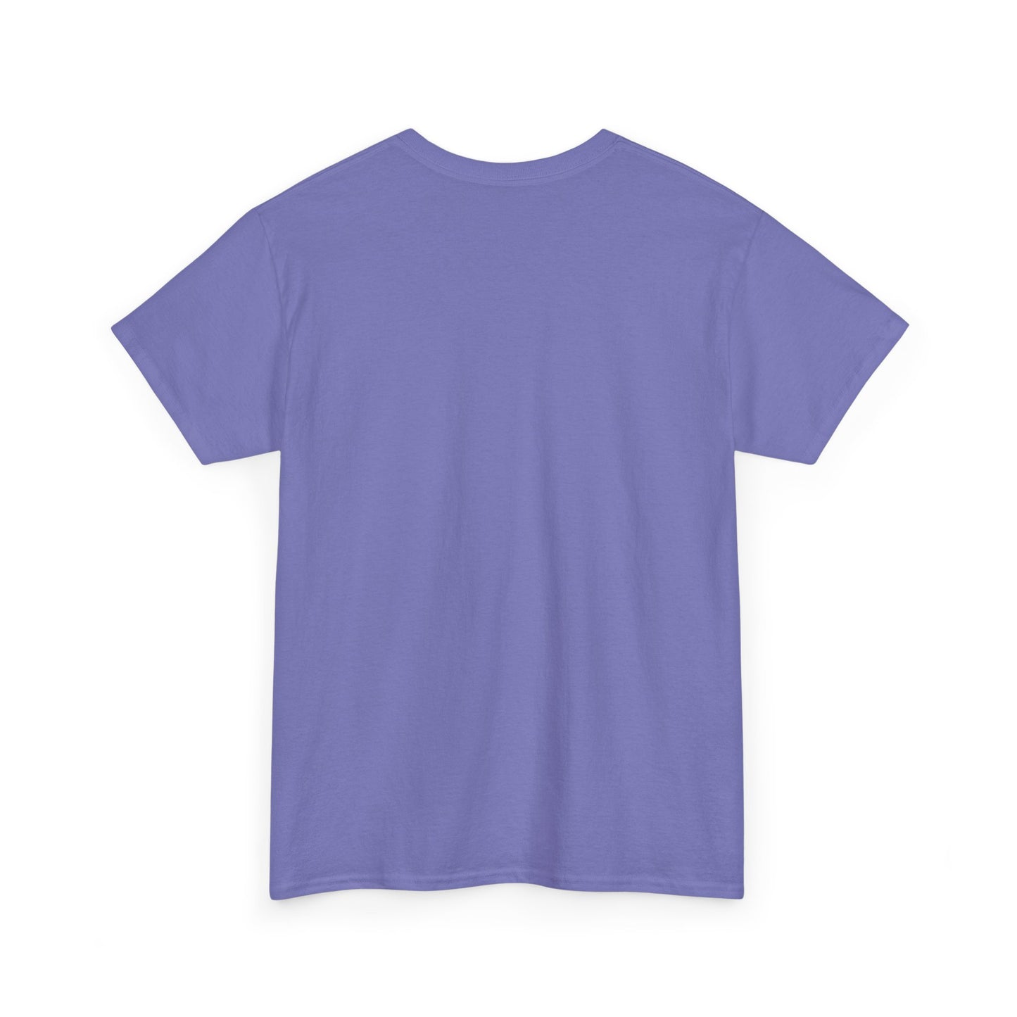 Please Transition Downstairs 2023 Unisex Heavy Cotton Tee