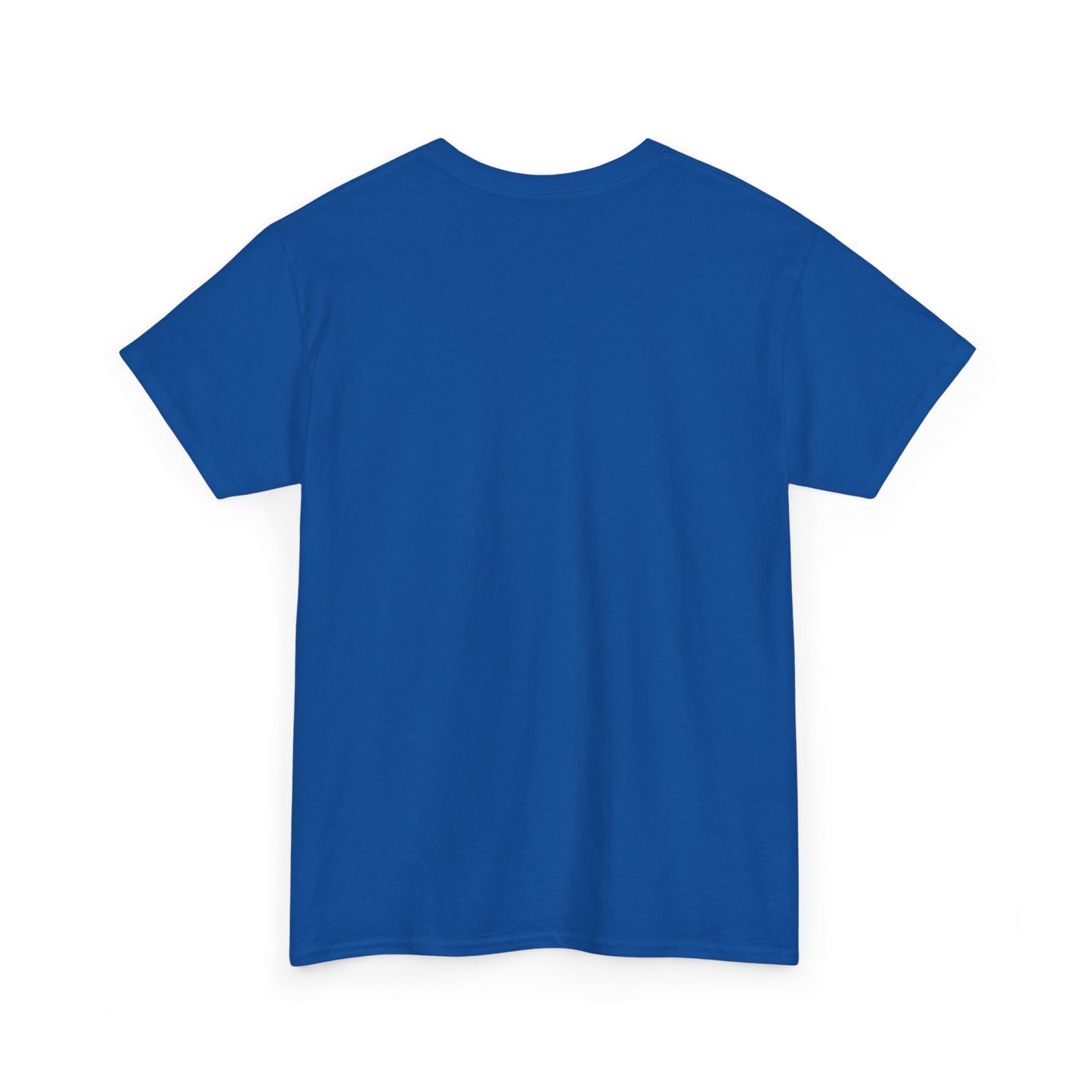 Please Transition Downstairs 2023 Unisex Heavy Cotton Tee
