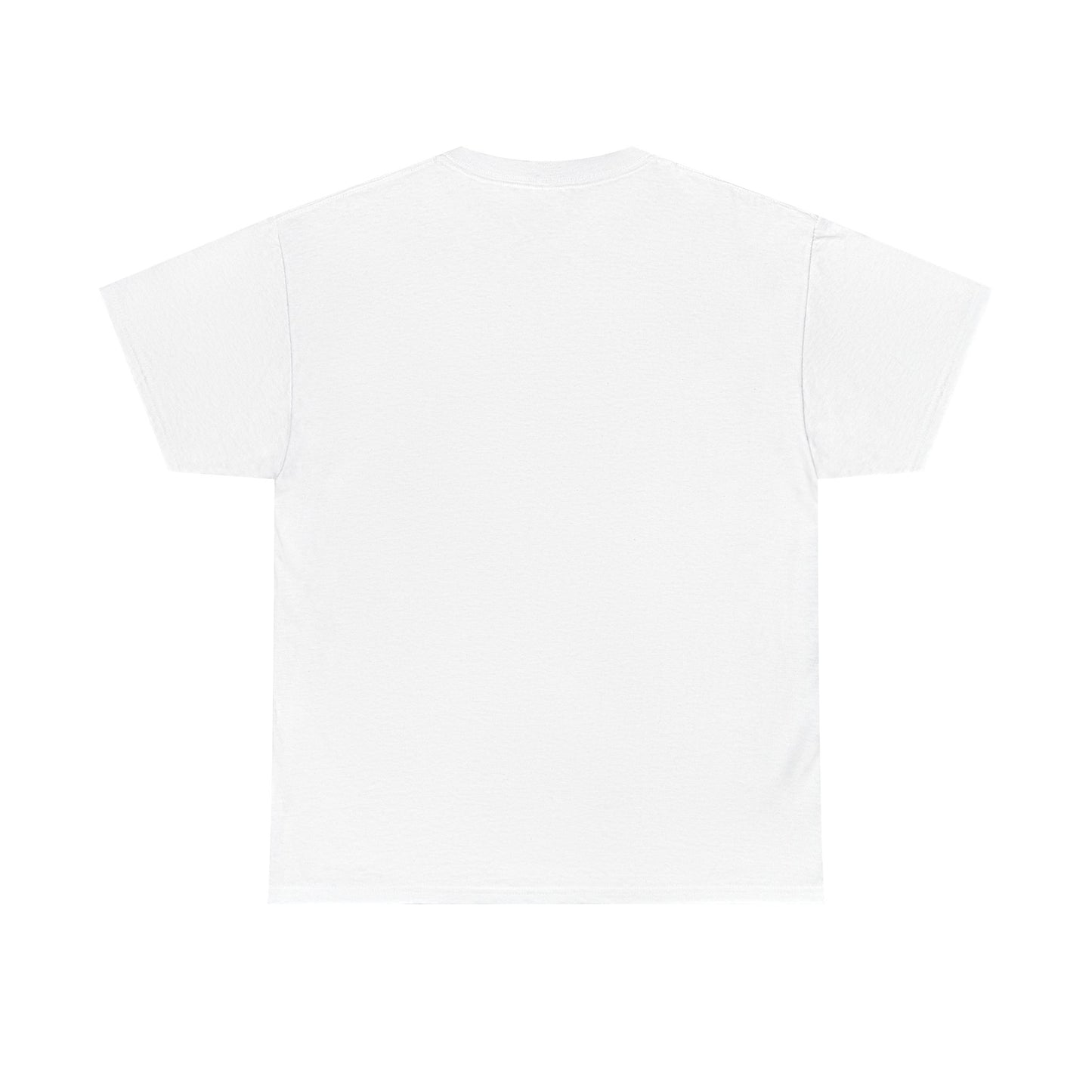 Please Transition Downstairs 2023 Unisex Heavy Cotton Tee