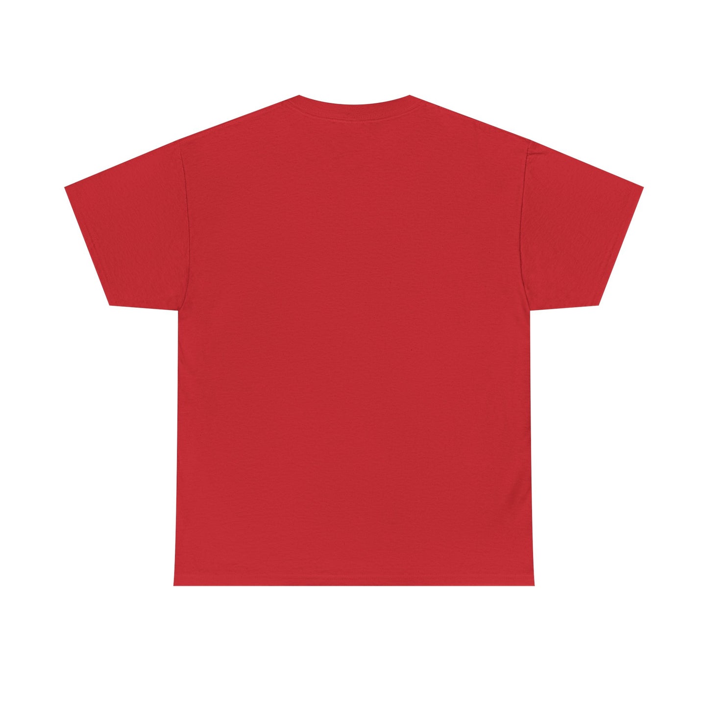 Please Transition Downstairs 2023 Unisex Heavy Cotton Tee