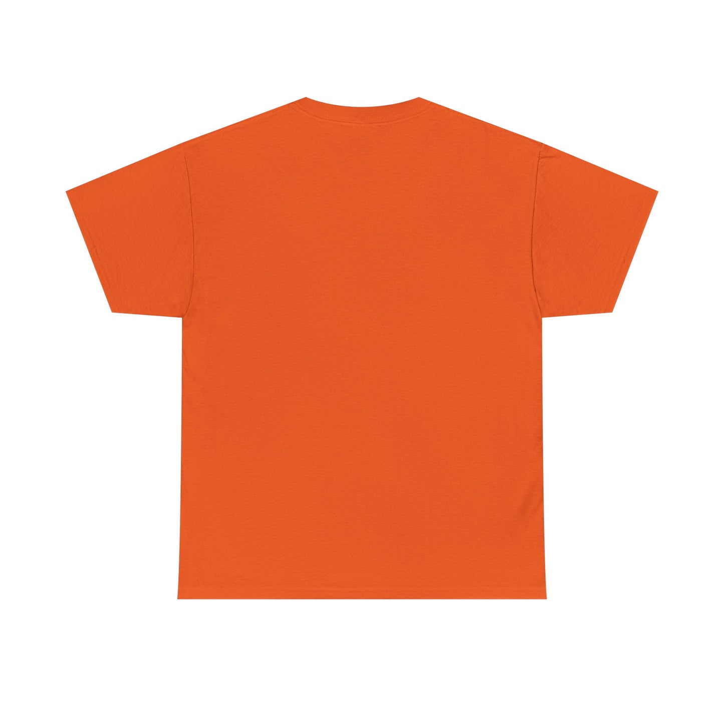 Please Transition Downstairs 2023 Unisex Heavy Cotton Tee