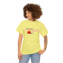 Load image into Gallery viewer, Please Transition Downstairs 2023 Unisex Heavy Cotton Tee
